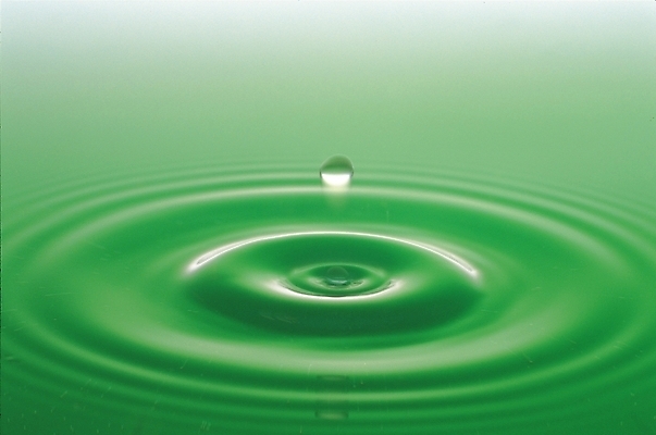 포토 JPG 스튜디오촬영 물결 자연 근접촬영 사람없음 초록색 물 물방울 수면 파장 국내포토 자연요소 뷰포인트 컬러 실내 생태계 파일형식