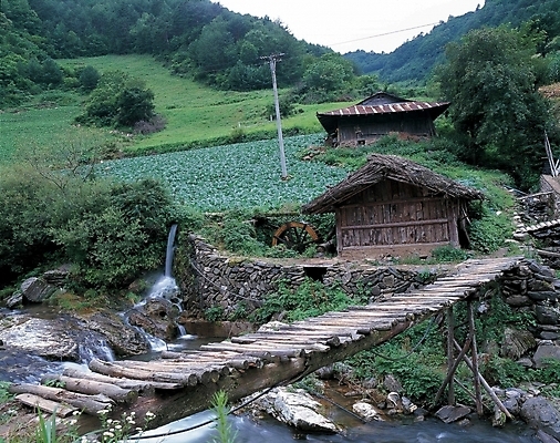 포토 JPG 주간 나무 식물 건축물 자연 산 주택 풍경 사람없음 야외 초록색 물 농사 개울 전봇대 나무다리 텃밭 가교 국내포토 자연요소 공공시설 건축 컬러 밭 농업 건물 강 다리_건축물 생태계 파일형식
