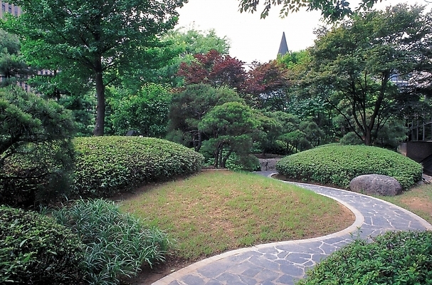 포토 JPG 주간 나무 식물 공원 길 자연 풍경 사람없음 야외 초록색 정원 도시 오솔길 꼬부랑길 국내포토 자연요소 공공시설 컬러 생태계 파일형식