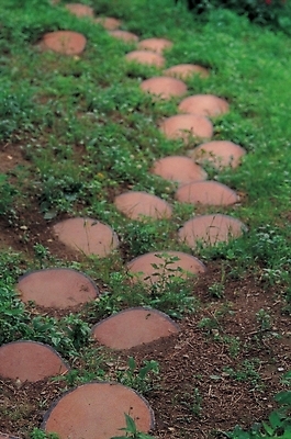 포토 JPG 주간 공원 길 자연 풍경 근접촬영 사람없음 야외 아웃포커스 초록색 정원 풀 커브길 조경 국내포토 자연요소 식물 공공시설 도로 뷰포인트 컬러 촬영기법 생태계 파일형식