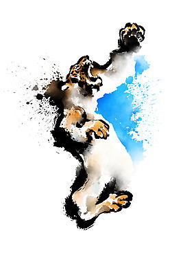 PSD 한마리 한국전통 일러스트 캘리그라피 붓터치 사람없음 외침 호랑이 번짐 한반도 포효 국내일러스트 1 전통 포유류 한국 소리 파일형식 효과