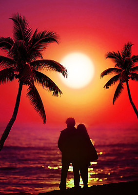 PSD 편집이미지 커플 여자 남자 실루엣 여유 휴가 사랑 성인 해변 두명 여름 여름휴가 바캉스 야자수 태양 걷기 산책 즐거움 휴양지 이미지편집 자연요소 나무 계절 감정 바다 관계 모션 휴식 촬영기법 사람 장소 파일형식 여름_계절