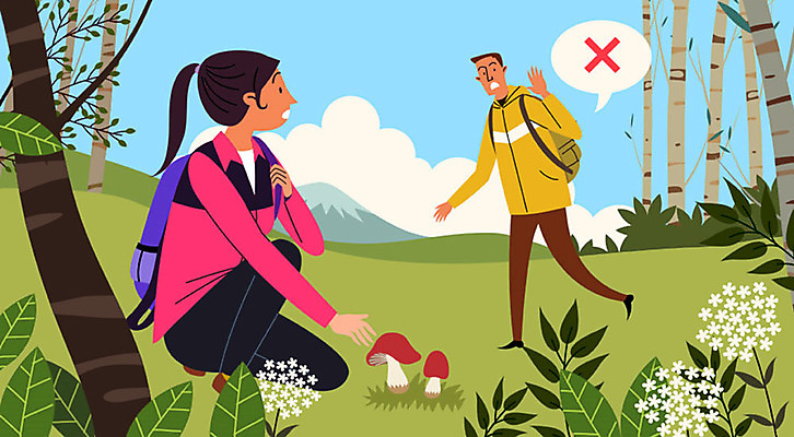 구름 여자 남자 일러스트 나뭇잎 산 사람 초원 성인 두명 건강관리 버섯 등산객 예방 건강수칙 독버섯 식중독 야생버섯 주의사항 성인만 국내일러스트 AI파일 자연요소 잎 건강 관리 주의 등산 파일형식 벡터