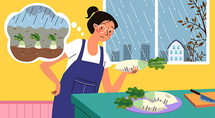 여자 채소 일러스트 도마 한명 사람 성인 여름 건강관리 청결 비 오염 위생 무 불안 고민 예방 장마 식칼 건강수칙 식중독 위생관리 토양오염 성인여자한명만 국내일러스트 AI파일 자연요소 1 계절 감정 주방용품 날씨 뿌리채소 건강 관리 비_날씨 환경오염 여자한명만 성인여자만 파일형식 벡터