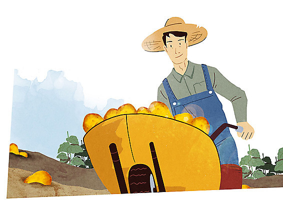 PSD 남자 행복 밭 일러스트 감자 작업복 한명 사람 청년 농작물 청춘 농사 수레 기쁨 수확 시골 농부 밀짚모자 귀농 수레끌기 청년남자한명만 성인남자한명만 청년농부 국내일러스트 직업 모자_잡화 1 옷 감정 컨셉 농업 채소 성인 카트 당기기 남자한명만 성인남자만 청년남자만 파일형식