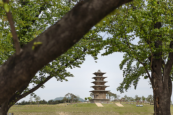포토 JPG 주간 나무 한국전통 여행 유적지 풍경 사람없음 야외 아웃포커스 관광지 봄 세계문화유산 문화재 역사 한국사 사적지 익산 백제역사유적지구 왕궁리오층석탑 왕궁리유적 국내포토 자연요소 식물 전통 계절 고건축 한국 촬영기법 석탑 전라북도 파일형식