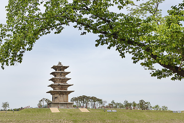 포토 JPG 주간 나무 한국전통 여행 유적지 풍경 사람없음 야외 관광지 봄 세계문화유산 문화재 역사 한국사 사적지 익산 백제역사유적지구 왕궁리오층석탑 왕궁리유적 국내포토 자연요소 식물 전통 계절 고건축 한국 석탑 전라북도 파일형식