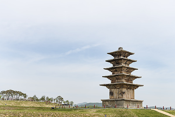 포토 JPG 주간 나무 구름 한국전통 여행 유적지 하늘 풍경 초원 사람없음 야외 관광지 맑음 봄 세계문화유산 문화재 역사 한국사 사적지 익산 백제역사유적지구 왕궁리오층석탑 왕궁리유적 국내포토 자연요소 식물 전통 계절 고건축 날씨 한국 석탑 전라북도 파일형식