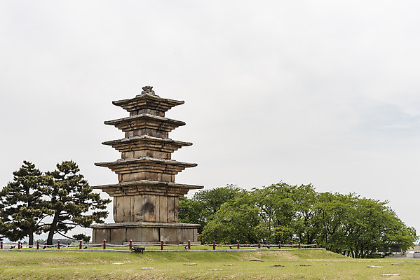포토 JPG 주간 나무 구름 한국전통 여행 유적지 하늘 풍경 초원 사람없음 야외 관광지 봄 세계문화유산 문화재 역사 한국사 사적지 익산 백제역사유적지구 왕궁리오층석탑 왕궁리유적 국내포토 자연요소 식물 전통 계절 고건축 한국 석탑 전라북도 파일형식