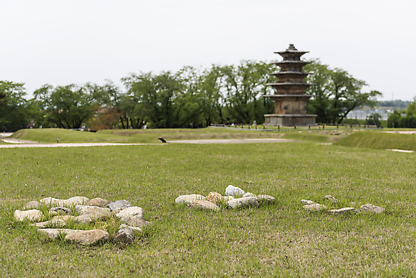 포토 JPG 주간 나무 한국전통 여행 유적지 풍경 초원 사람없음 야외 아웃포커스 관광지 봄 세계문화유산 문화재 돌_바위 역사 한국사 사적지 익산 백제역사유적지구 왕궁리오층석탑 왕궁리유적 국내포토 자연요소 식물 전통 계절 고건축 한국 촬영기법 석탑 전라북도 파일형식