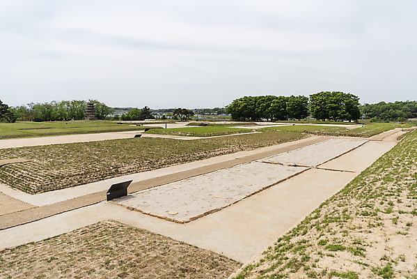 포토 JPG 주간 나무 한국전통 여행 유적지 하늘 풍경 초원 사람없음 야외 관광지 봄 세계문화유산 문화재 역사 한국사 사적지 익산 백제역사유적지구 왕궁리오층석탑 왕궁리유적 국내포토 자연요소 식물 전통 계절 고건축 한국 석탑 전라북도 파일형식
