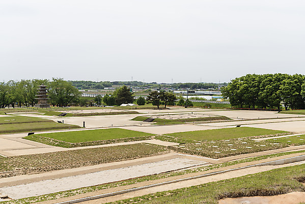 포토 JPG 주간 나무 한국전통 여행 유적지 하늘 풍경 초원 사람없음 야외 관광지 봄 세계문화유산 문화재 역사 한국사 사적지 익산 백제역사유적지구 왕궁리오층석탑 왕궁리유적 국내포토 자연요소 식물 전통 계절 고건축 한국 석탑 전라북도 파일형식