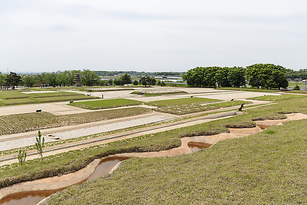 포토 JPG 주간 나무 구름 한국전통 여행 유적지 하늘 풍경 초원 사람없음 야외 관광지 봄 세계문화유산 문화재 역사 한국사 사적지 익산 백제역사유적지구 왕궁리오층석탑 왕궁리유적 국내포토 자연요소 식물 전통 계절 고건축 한국 석탑 전라북도 파일형식