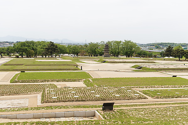 포토 JPG 주간 나무 한국전통 여행 유적지 하늘 풍경 사람없음 야외 관광지 봄 세계문화유산 문화재 역사 한국사 사적지 익산 백제역사유적지구 왕궁리오층석탑 왕궁리유적 국내포토 자연요소 식물 전통 계절 고건축 한국 석탑 전라북도 파일형식