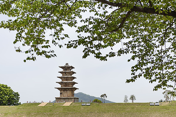 포토 JPG 주간 나무 한국전통 여행 유적지 하늘 풍경 초원 사람없음 야외 관광지 봄 세계문화유산 문화재 역사 한국사 사적지 익산 백제역사유적지구 왕궁리오층석탑 왕궁리유적 국내포토 자연요소 식물 전통 계절 고건축 한국 석탑 전라북도 파일형식