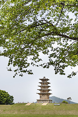 포토 JPG 주간 나무 한국전통 여행 유적지 하늘 풍경 초원 사람없음 야외 관광지 봄 세계문화유산 문화재 역사 한국사 사적지 익산 백제역사유적지구 왕궁리오층석탑 왕궁리유적 국내포토 자연요소 식물 전통 계절 고건축 한국 석탑 전라북도 파일형식