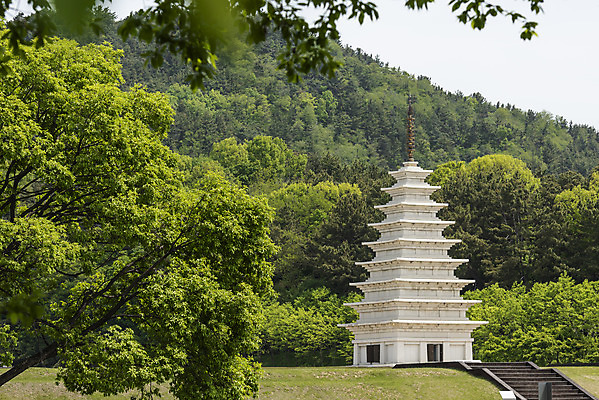포토 JPG 주간 나무 한국전통 여행 유적지 하늘 풍경 사람없음 야외 관광지 봄 세계문화유산 문화재 역사 한국사 미륵사지 미륵사지석탑 사적지 익산 백제역사유적지구 동원구층석탑 국내포토 자연요소 식물 전통 계절 고건축 한국 석탑 전라북도 파일형식