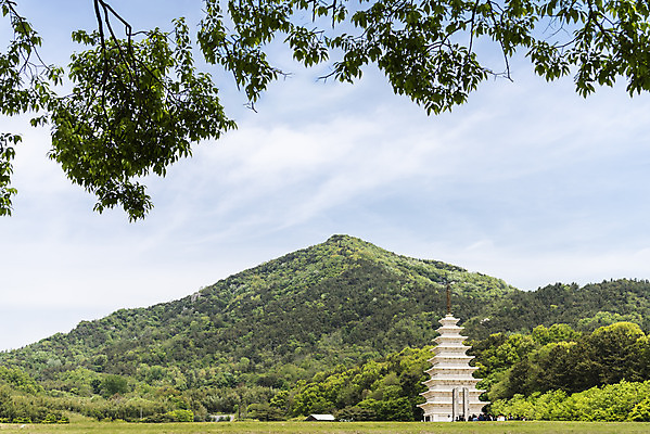 포토 JPG 주간 나무 한국전통 여행 유적지 하늘 산 풍경 사람없음 야외 관광지 맑음 봄 세계문화유산 문화재 역사 한국사 미륵사지 미륵사지석탑 사적지 익산 백제역사유적지구 동원구층석탑 국내포토 자연요소 식물 전통 계절 고건축 날씨 한국 석탑 전라북도 파일형식