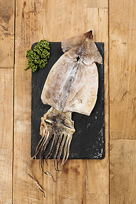 포토 JPG 스튜디오촬영 건조 실내 사람없음 하이앵글 가공식품 안주 오브젝트 건어물 마른안주 말린오징어 플랫레이 나무배경 국내포토 뷰포인트 백그라운드 내부 플랫 오징어 파일형식