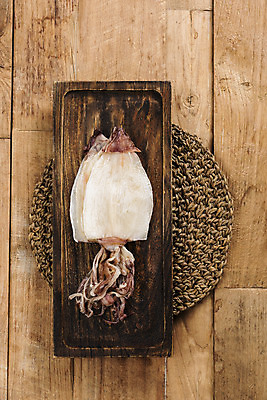 포토 JPG 스튜디오촬영 건조 실내 사람없음 하이앵글 가공식품 안주 오브젝트 건어물 나무도마 마른안주 한치 플랫레이 반건조오징어 나무배경 국내포토 뷰포인트 백그라운드 도마 내부 목재 플랫 오징어 파일형식