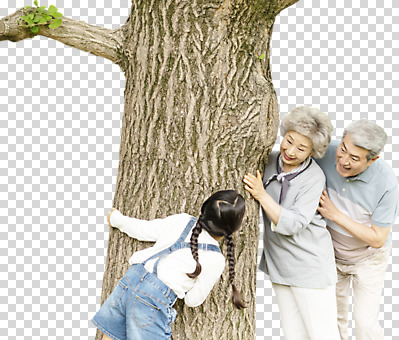 나무 편집이미지 응시 여자 할아버지 노년 남자 할머니 어린이 가족 손녀 가족애 미소 사람 상반신 옆모습 뒷모습 10대 세명 소풍 60대 손주 나무기둥 70대 PNG 숨바꼭질 조부모 편집소스 식물 시선 뷰포인트 관계 청소년 표정 사랑 성인 야외활동 파일형식