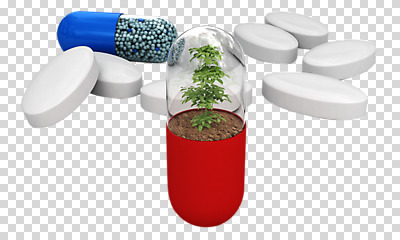 나무 식물 편집이미지 나뭇잎 사람없음 알약 약 3D 흙 처방 PNG 편집소스 잎 의학 디지털합성 파일형식