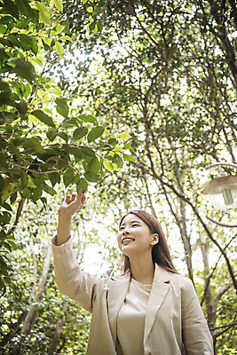 포토 JPG 주간 우먼라이프 여자 로우앵글 여행 나뭇잎 한명 서기 상반신 20대 성인 야외 앞모습 관광지 봄 만지기 한국인 즐거움 숲길 여수 국내여행 봄여행 오동도 성인여자한명만 국내포토 자연요소 1 라이프스타일 계절 감정 길 뷰포인트 섬 잎 모션 사람 동양인 청년 전라남도 여자한명만 성인여자만 파일형식