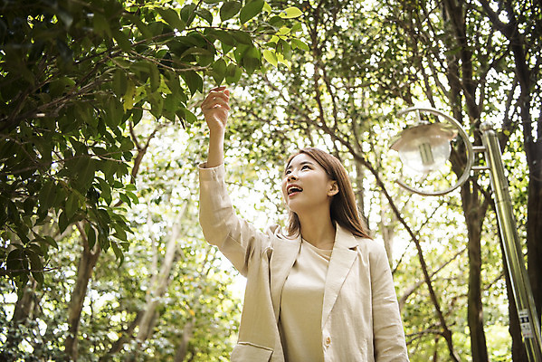 포토 JPG 주간 우먼라이프 여자 로우앵글 여행 나뭇잎 한명 서기 상반신 20대 성인 야외 앞모습 관광지 봄 만지기 한국인 즐거움 숲길 여수 국내여행 봄여행 오동도 성인여자한명만 국내포토 자연요소 1 라이프스타일 계절 감정 길 뷰포인트 섬 잎 모션 사람 동양인 청년 전라남도 여자한명만 성인여자만 파일형식