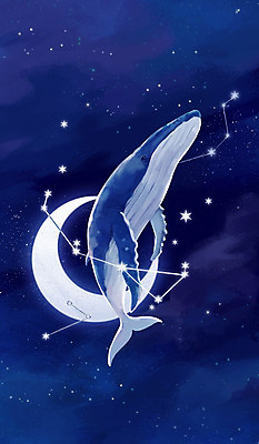 PSD 동물 구름 한마리 별 일러스트 상상 하늘 상상일러스트 사람없음 판타지 수영 고요 별자리 자유 달 비행 남색 고래 감성 범고래 혹등고래 몽환 클래식블루 국내일러스트 자연요소 1 컬러 컨셉 포유류 파란색 수중동물 수상스포츠 파일형식 트랜드컬러