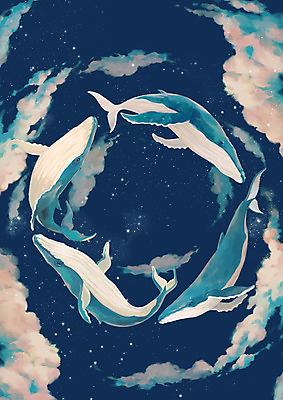 PSD 동물 구름 별 여러마리 일러스트 상상 밤하늘 하늘 상상일러스트 사람없음 판타지 수영 자유 비행 저녁 남색 고래 은하계 감성 은하수 성운 은하 범고래 여름밤 몽환 국내일러스트 자연요소 컬러 다수 컨셉 포유류 자연 여름 우주 수중동물 수상스포츠 야간 파일형식