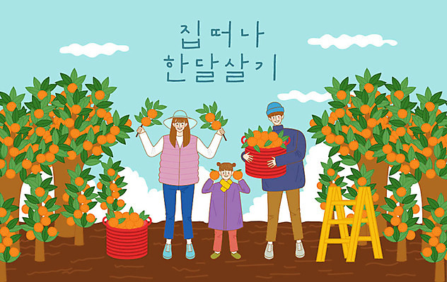 나무 구름 라이프스타일 부부 여자 남자 딸 행복 어린이 여행 과일 일러스트 사다리 가족 하늘 엄마 새로움 귤 사람 취미 세명 야외활동 바구니 수확 체험 아빠 과일나무 즐거움 따기 버킷리스트 국내일러스트 AI파일 자연요소 식물 커플 감정 컨셉 농업 관계 생활 도구 리스트 파일형식 벡터