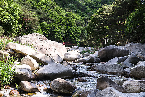 포토 JPG 주간 나무 여행 자연 한국 풍경 사람없음 야외 여름 관광지 여름풍경 바위 국내여행 단양 단양팔경 명승지 월악산 선암계곡 암각자 옥염대 명경대 중선암 국내포토 자연요소 식물 계절 아시아 산 계곡 돌_바위 바위_돌 생태계 충청북도 석조물 파일형식 여름_계절