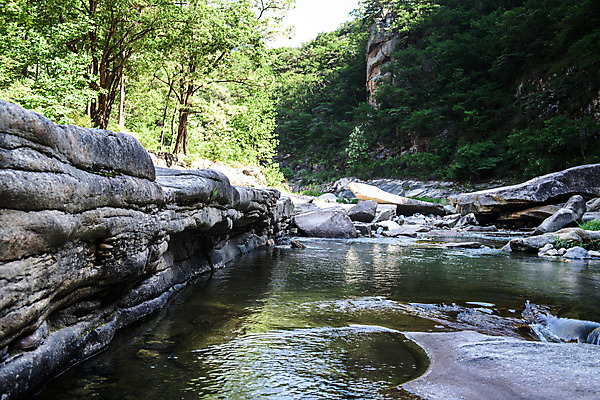 포토 JPG 주간 나무 여행 자연 한국 풍경 사람없음 야외 여름 관광지 맑음 여름풍경 바위 국내여행 단양 단양팔경 명승지 월악산 선암계곡 암각자 하선암 국내포토 자연요소 식물 계절 아시아 날씨 산 계곡 돌_바위 생태계 충청북도 석조물 파일형식 여름_계절