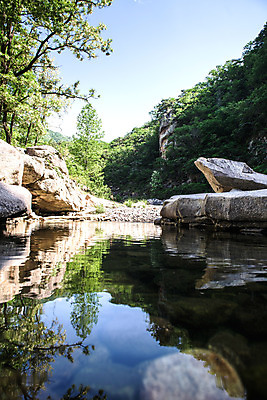 포토 JPG 주간 나무 여행 자연 한국 풍경 사람없음 야외 여름 관광지 맑음 여름풍경 바위 국내여행 단양 단양팔경 명승지 월악산 선암계곡 암각자 하선암 국내포토 자연요소 식물 계절 아시아 날씨 산 계곡 돌_바위 생태계 충청북도 석조물 파일형식 여름_계절