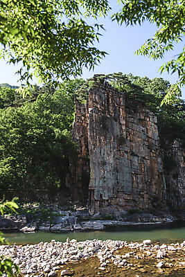 포토 JPG 주간 나무 여행 자연 나뭇잎 한국 풍경 사람없음 야외 여름 관광지 맑음 여름풍경 바위 국내여행 단양 단양팔경 명승지 사인암 남조천 국내포토 자연요소 식물 계절 아시아 잎 날씨 강 돌_바위 생태계 충청북도 파일형식 여름_계절