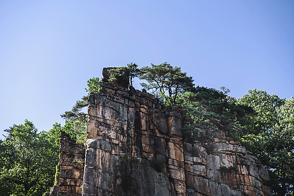 포토 JPG 주간 나무 여행 자연 하늘 한국 풍경 사람없음 야외 여름 관광지 맑음 여름풍경 바위 국내여행 단양 단양팔경 명승지 사인암 남조천 국내포토 자연요소 식물 계절 아시아 날씨 강 돌_바위 생태계 충청북도 파일형식 여름_계절