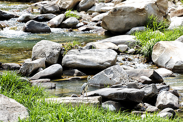 포토 JPG 주간 여행 자연 한국 풍경 사람없음 야외 여름 관광지 맑음 여름풍경 바위 국내여행 단양 단양팔경 명승지 월악산 상선암 선암계곡 암각자 국내포토 자연요소 계절 아시아 날씨 산 계곡 돌_바위 생태계 충청북도 석조물 파일형식 여름_계절