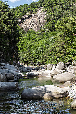포토 JPG 주간 여행 자연 한국 풍경 사람없음 야외 여름 관광지 맑음 여름풍경 절벽 바위 국내여행 단양 단양팔경 명승지 월악산 선암계곡 암각자 옥염대 명경대 중선암 국내포토 자연요소 계절 아시아 날씨 산 계곡 돌_바위 바위_돌 생태계 충청북도 석조물 파일형식 여름_계절
