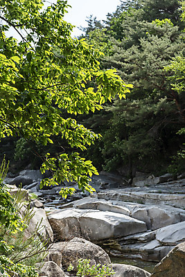 포토 JPG 주간 나무 여행 자연 한국 풍경 사람없음 야외 여름 관광지 맑음 여름풍경 바위 국내여행 단양 단양팔경 명승지 월악산 선암계곡 암각자 옥염대 명경대 중선암 국내포토 자연요소 식물 계절 아시아 날씨 산 계곡 돌_바위 바위_돌 생태계 충청북도 석조물 파일형식 여름_계절