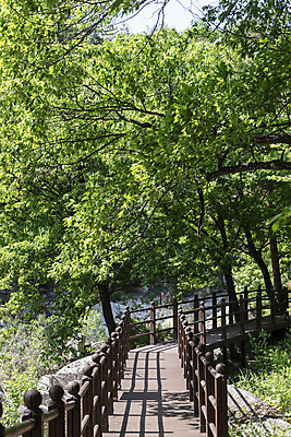 포토 JPG 주간 나무 여행 자연 한국 풍경 사람없음 야외 여름 관광지 맑음 여름풍경 산책로 국내여행 단양 단양팔경 명승지 월악산 선암계곡 암각자 옥염대 명경대 국내포토 자연요소 식물 계절 아시아 길 날씨 산 계곡 바위_돌 생태계 충청북도 석조물 파일형식 여름_계절