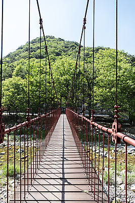 포토 JPG 주간 나무 여행 자연 하늘 한국 풍경 사람없음 야외 여름 관광지 맑음 여름풍경 국내여행 단양 단양팔경 명승지 월악산 가교 선암계곡 암각자 하선암 국내포토 자연요소 식물 건축물 계절 아시아 날씨 산 계곡 생태계 충청북도 석조물 파일형식 여름_계절