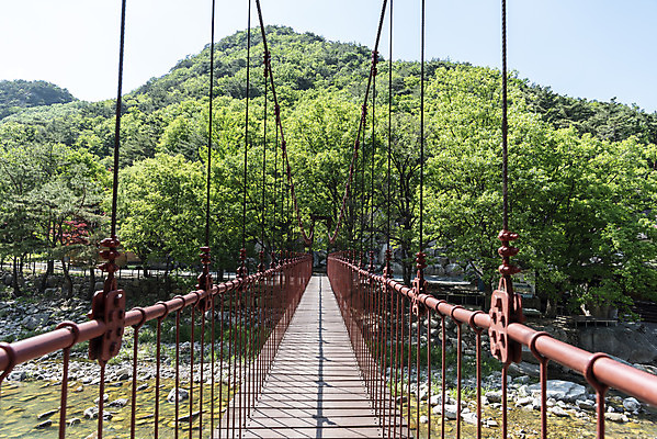 포토 JPG 주간 나무 여행 자연 하늘 한국 풍경 사람없음 야외 여름 관광지 맑음 여름풍경 국내여행 단양 단양팔경 명승지 월악산 가교 선암계곡 암각자 하선암 국내포토 자연요소 식물 건축물 계절 아시아 날씨 산 계곡 생태계 충청북도 석조물 파일형식 여름_계절