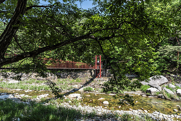 포토 JPG 주간 나무 여행 자연 한국 풍경 사람없음 야외 여름 관광지 맑음 여름풍경 바위 국내여행 단양 단양팔경 명승지 월악산 가교 선암계곡 암각자 하선암 국내포토 자연요소 식물 건축물 계절 아시아 날씨 산 계곡 돌_바위 생태계 충청북도 석조물 파일형식 여름_계절