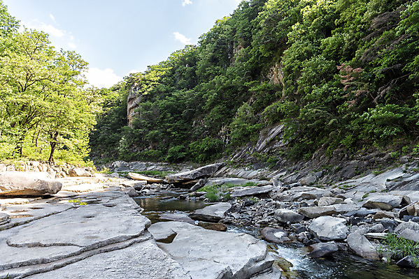 포토 JPG 주간 나무 여행 자연 한국 풍경 사람없음 야외 여름 관광지 맑음 여름풍경 바위 국내여행 단양 단양팔경 명승지 월악산 선암계곡 암각자 하선암 국내포토 자연요소 식물 계절 아시아 날씨 산 계곡 돌_바위 생태계 충청북도 석조물 파일형식 여름_계절