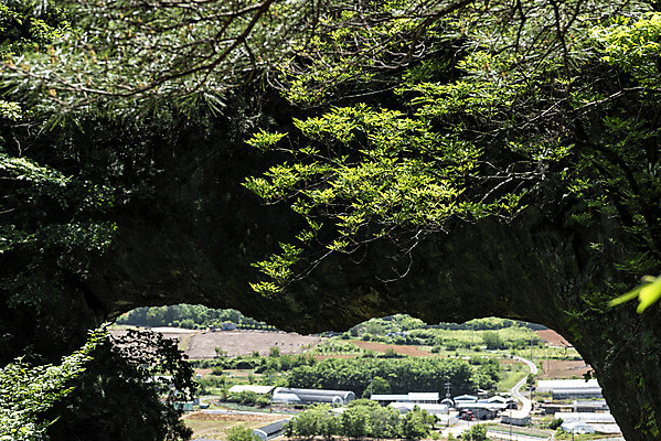 포토 JPG 주간 나무 여행 자연 한국 풍경 사람없음 야외 여름 관광지 맑음 여름풍경 국내여행 단양 단양팔경 명승지 석문 국내포토 자연요소 식물 계절 아시아 날씨 생태계 충청북도 파일형식 여름_계절