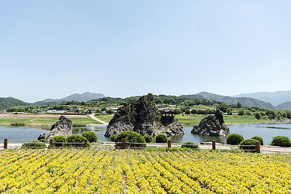 포토 JPG 주간 꽃 여행 자연 하늘 한국 풍경 사람없음 야외 여름 관광지 강 맑음 여름풍경 바위 국내여행 단양 단양팔경 도담삼봉 명승지 국내포토 자연요소 식물 계절 아시아 날씨 돌_바위 생태계 충청북도 파일형식 여름_계절