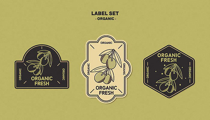 열매 스티커 라인일러스트 일러스트 자연 사람없음 세트 라벨 스케치 심볼 유기농 올리브 국내일러스트 AI파일 식물 웰빙 프레임 미술 생태계 파일형식 벡터