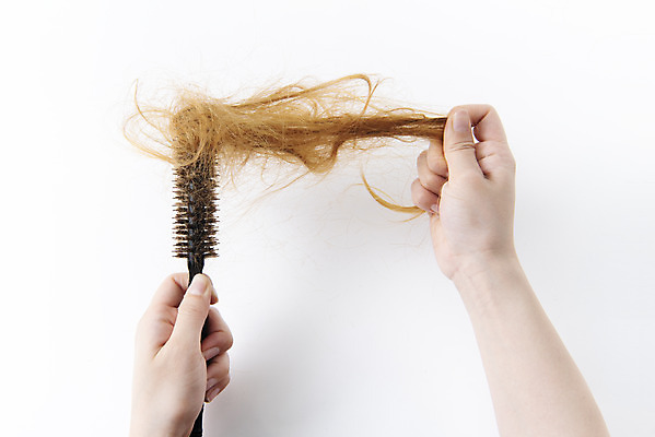 포토 JPG 스튜디오촬영 손 실내 누끼 신체부위 하이앵글 뷰티 머리카락 머리빗 오브젝트 흰배경 헤어용품 헤어관리 탈모 플랫레이 국내포토 뷰포인트 백그라운드 사람 내부 머리 흰색 미용용품 플랫 증상 파일형식