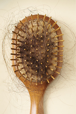 포토 JPG 스튜디오촬영 실내 누끼 사람없음 하이앵글 뷰티 머리카락 머리빗 오브젝트 헤어용품 헤어관리 노란배경 탈모 플랫레이 국내포토 뷰포인트 백그라운드 내부 노란색 머리 미용용품 플랫 증상 파일형식