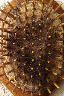 포토 JPG 스튜디오촬영 실내 누끼 근접촬영 사람없음 하이앵글 뷰티 머리카락 머리빗 오브젝트 헤어용품 헤어관리 탈모 플랫레이 국내포토 뷰포인트 내부 머리 미용용품 플랫 증상 파일형식